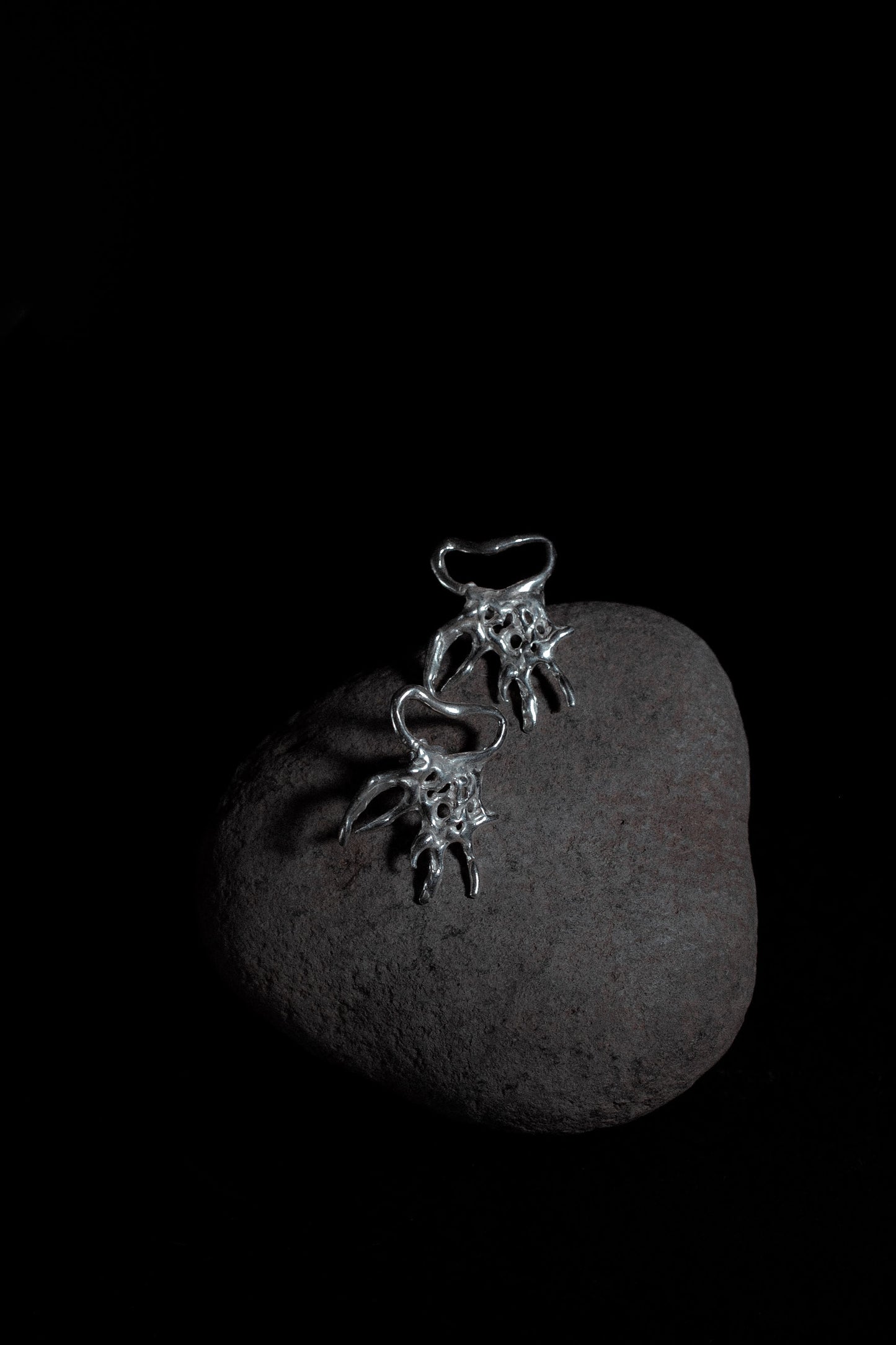 Aretes Buza