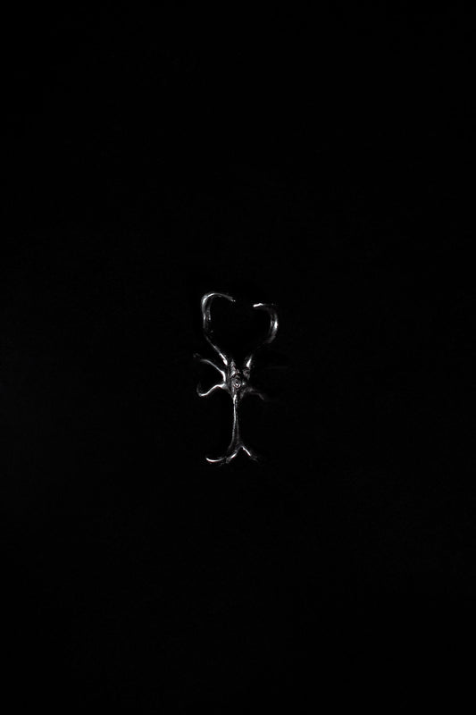 Naricera Caminata de Noche