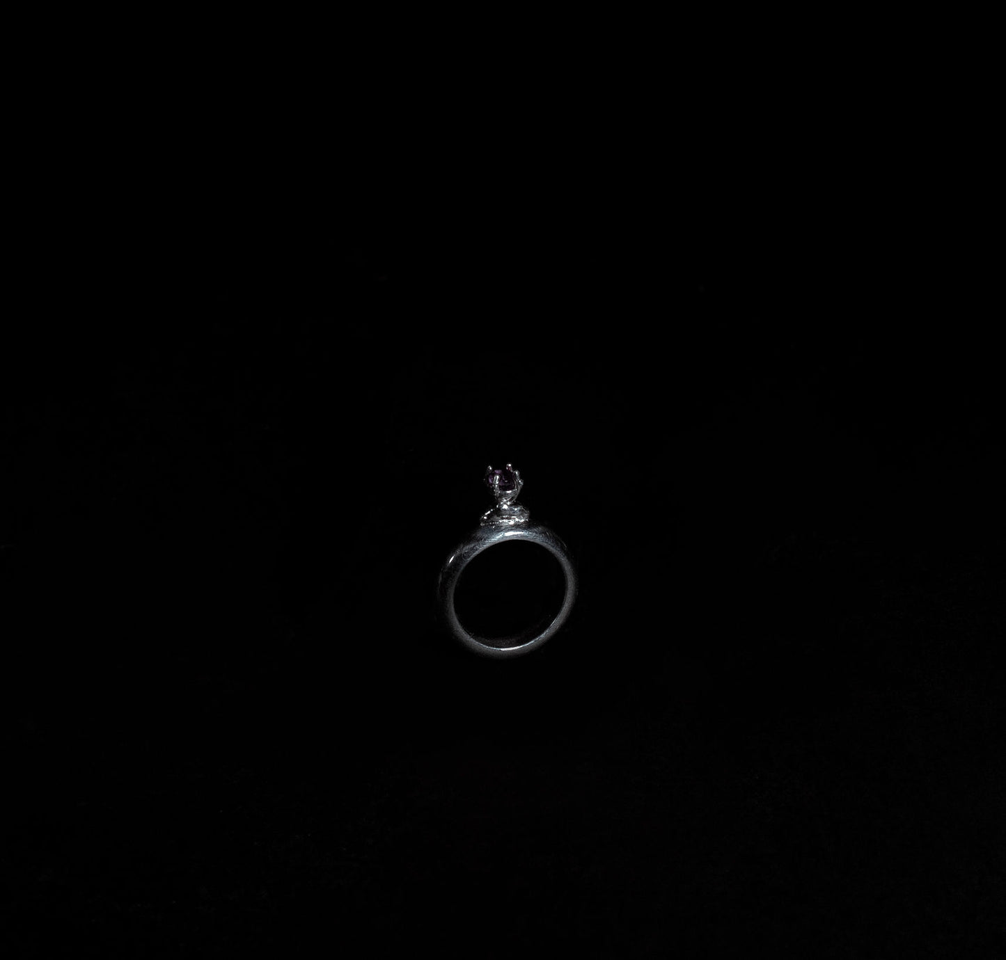 Anillo Nudibranquea