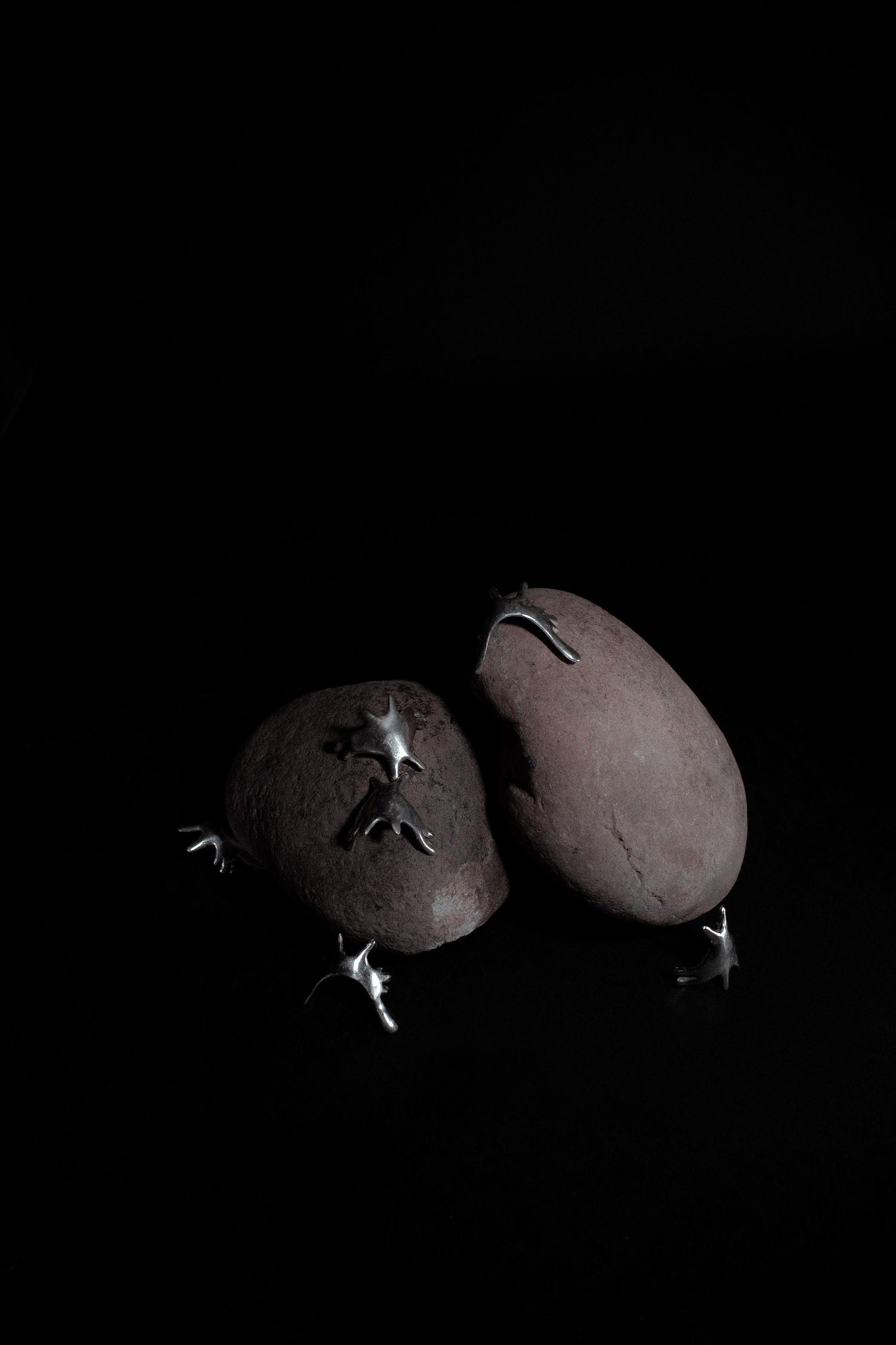 Nariceras