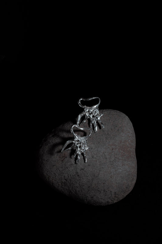 Aretes Buza