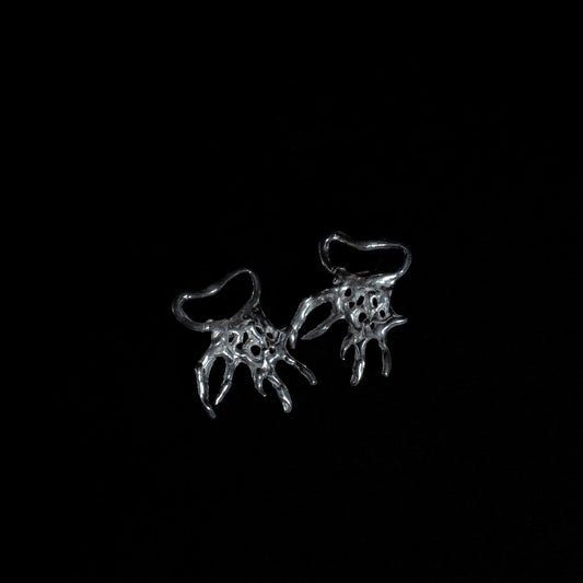 Aretes Buza