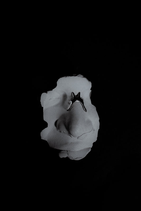 Naricera Paradoxa