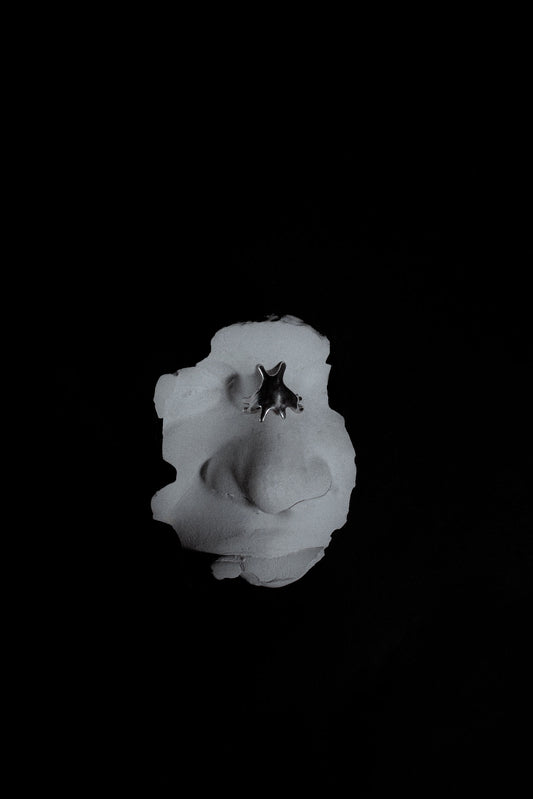 Naricera Mixotrica