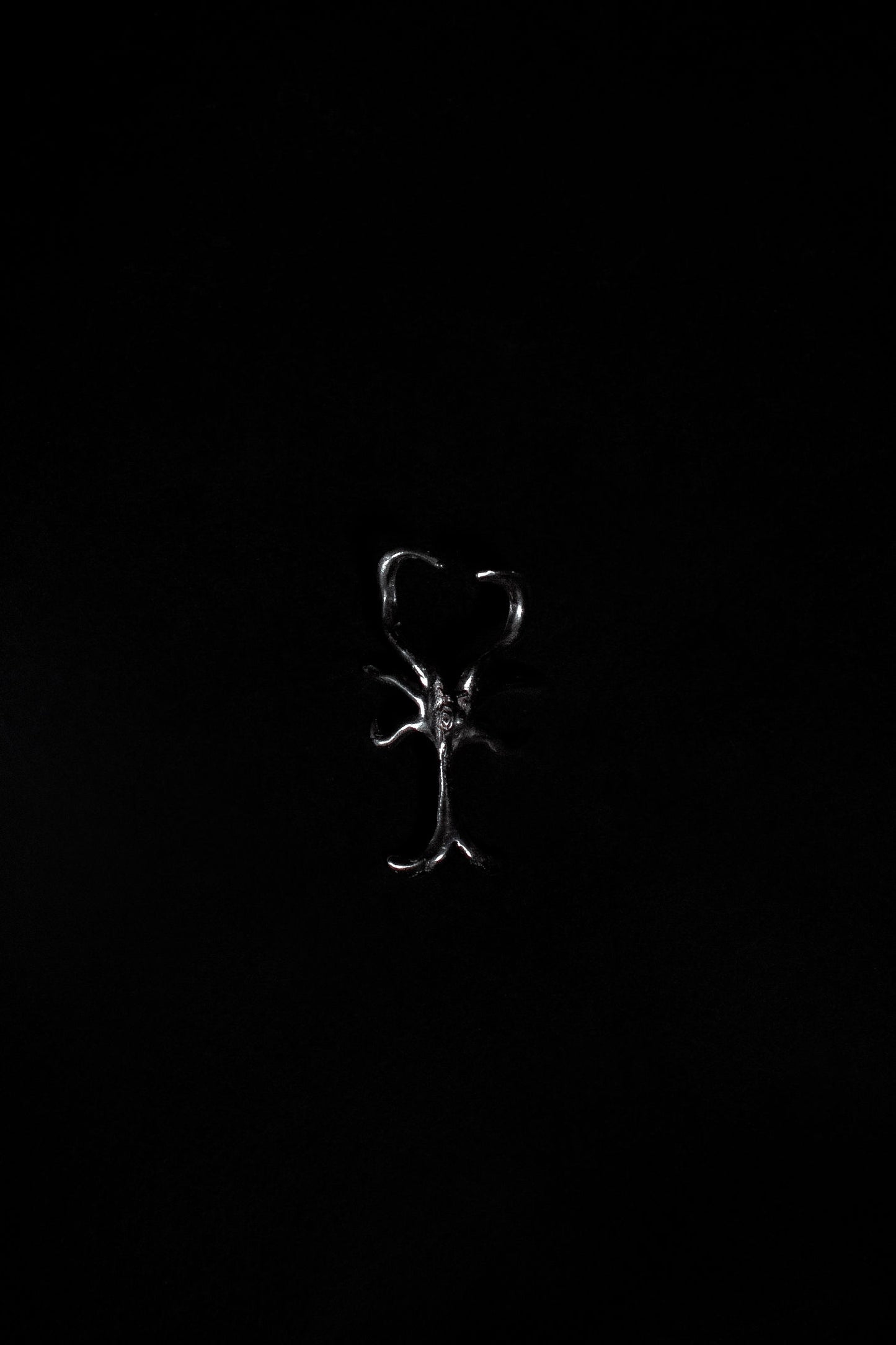 Naricera Caminata de Noche